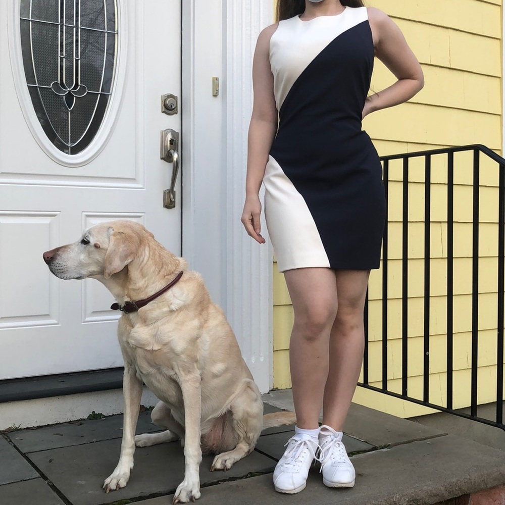 Elizabeth and James navy/white color-block dress